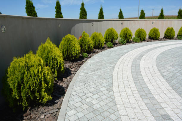 Best Brick Driveway Pavers  in Sauk Centre, MN