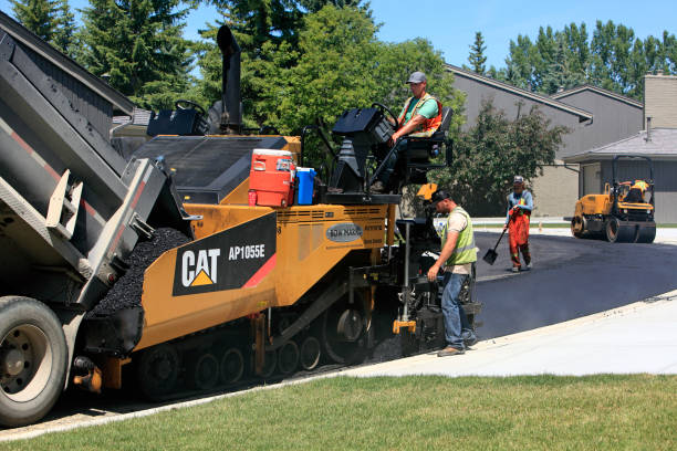 Best Decorative Driveway Pavers  in Sauk Centre, MN