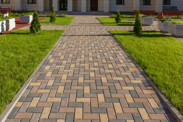 Best Driveway Pavers Near Me  in Sauk Centre, MN